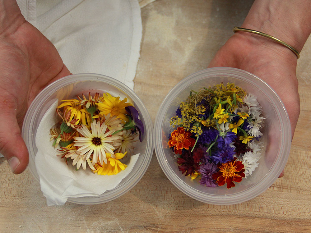 Two hands hold clear plastic containers of edible flowers. To the left is an assortment of yellow and white blooms. To the right are a collection of yellow, indigo, white and red flowers with orange markings.
