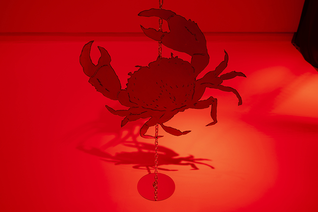 582px version of CrabPhotoMichaelLove.jpg