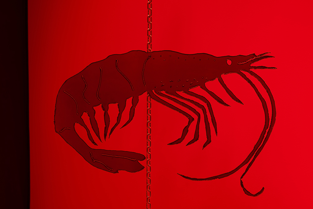 Two stacked photos of crustacean art installations part of Vanessa Brown’s That Other Hunger. The die-cut creatures hang against a red lit wall.