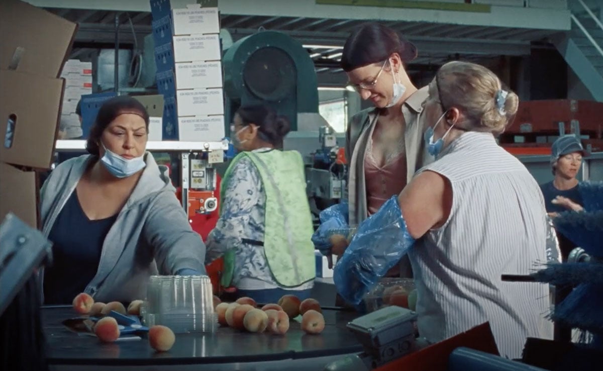 A group of women stands together inside a peach packing plant. Protagonist Robin (played by Grace Glowicki) stands in the middle, looking down. Her brown hair is tied in a bun under a hairnet. Around her is the bustle of her co-workers and the processing plant.