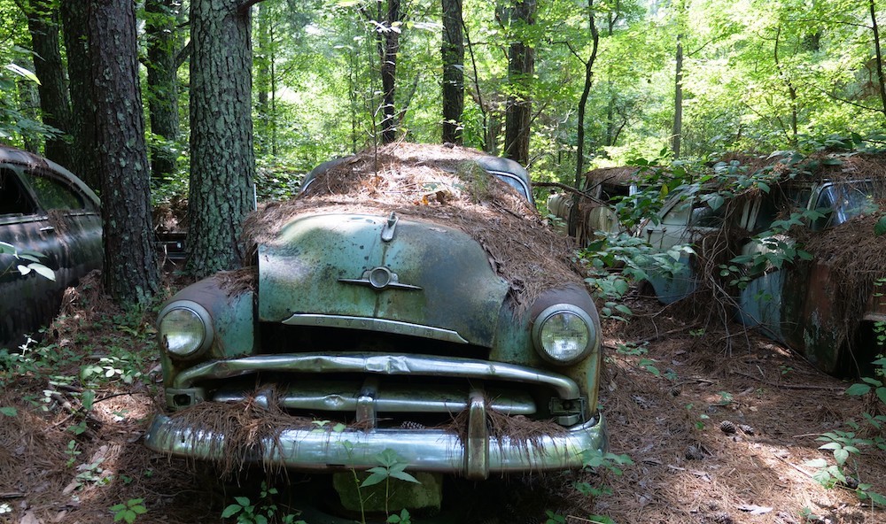 An old, rusted green car stands in a forest among pine trees. It is covered in a dense blanket of brown pine needles. Other such cars of a similar vintage line the background.