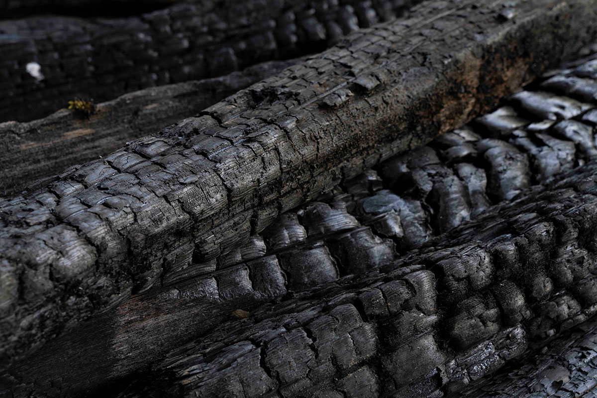 A close-up photograph of charred timbre part of Martha Sturdy’s <em>All Fall Down</em> art exhibition. While the five long pieces of wood are completely burned, a closer look at the picture reveals a small green piece of moss to the left of the frame; a subtle sign of life and persistence amidst devastation. 