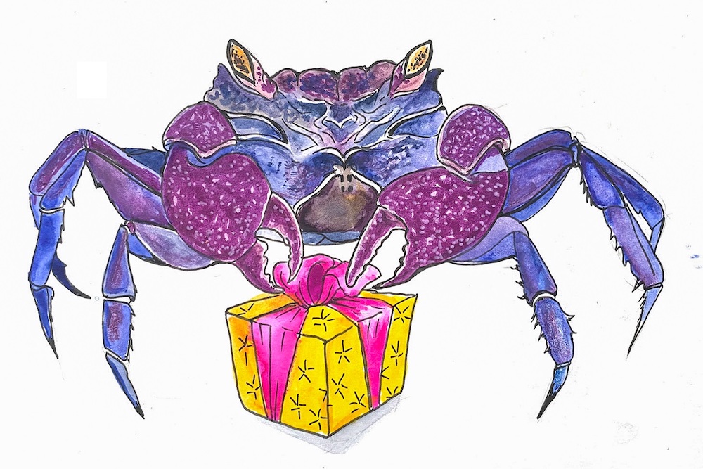 A watercolour illustration of a purple crab using its pincers to grasp the pink ribbons of a gift wrapped in yellow paper.