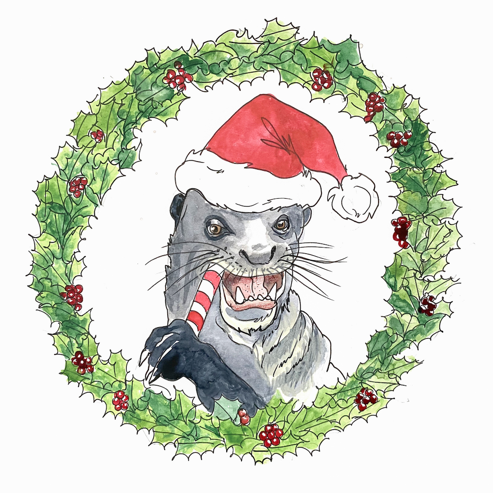 An angry black otter munches a piece of candy cane. The otter is wearing a red and white Santa hat and encircled by a green and red holly wreath.