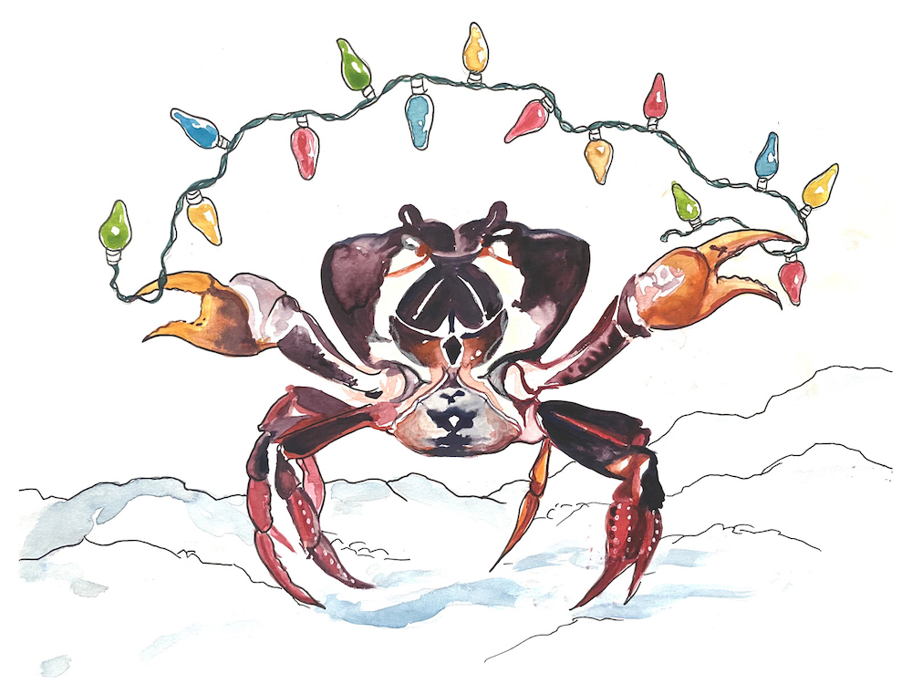 A watercolour illustration of a purple crab standing below an string of rainbow Christmas lights.