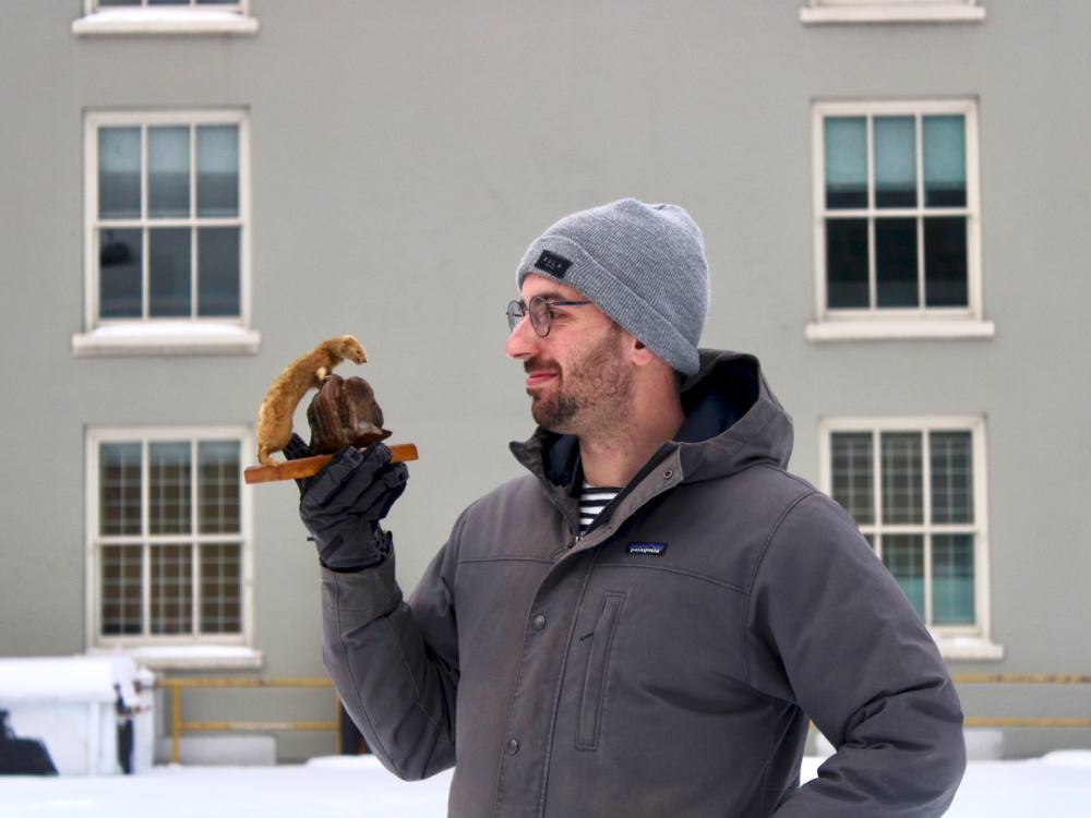 Outdoors, a man in a warm coat, toque and glasses holds and starts at a stuffed ermine, which looks like a small weasel, mounted on a base. 