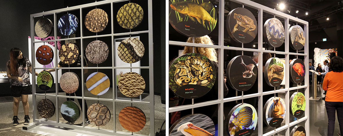 On the left, a young person with long hair stands in a dim exhibit space, to the side of an apparatus of rotating panels that reflect microscopic enlargements of skin. On the right, the rotating panels show different animals. A person in an orange shirt stands to the right facing away from the camera.
