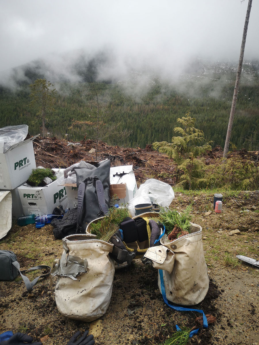 Planting bags sit atop a cliff overlooking a foggy horizon.