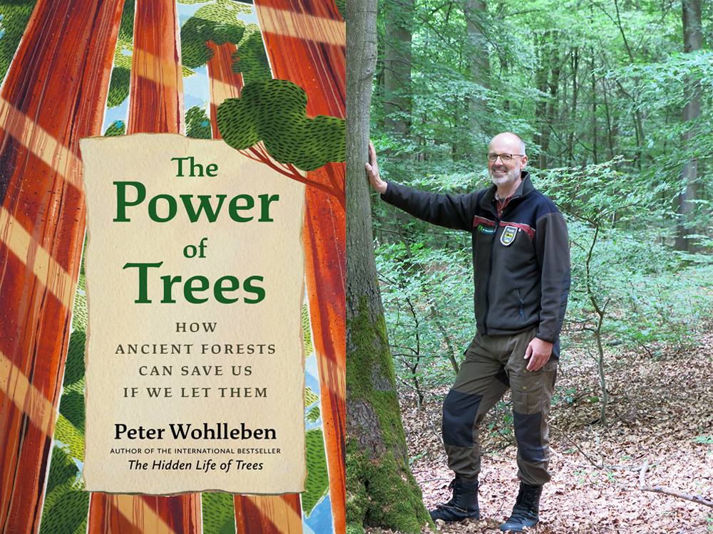 On the left, the cover of The Power of Trees, Peter Wohlleben’s new book. On the right, Peter Wohlleben stands in the forest with the palm of his hand on a tree.