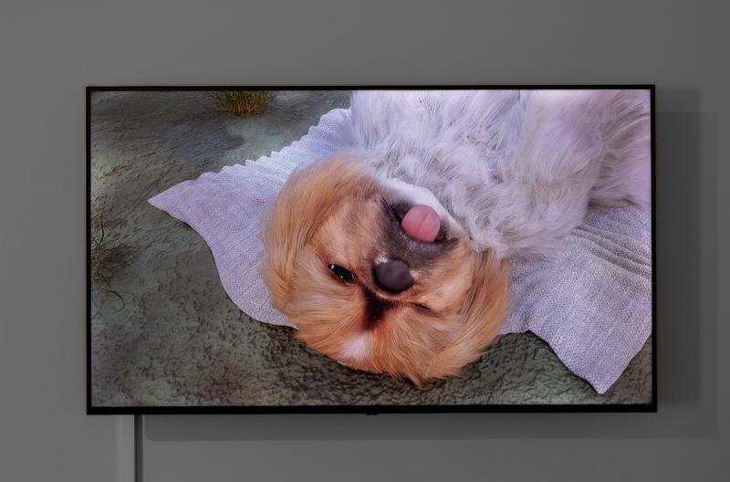 Did You Get What You Wanted from This Life?