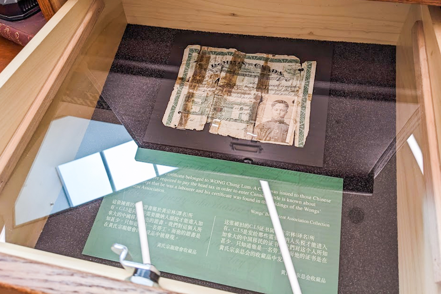 A museum drawer with a Chinese Immigration certificate inside. It is tattered and worn, with a black and white photo still in good condition. 