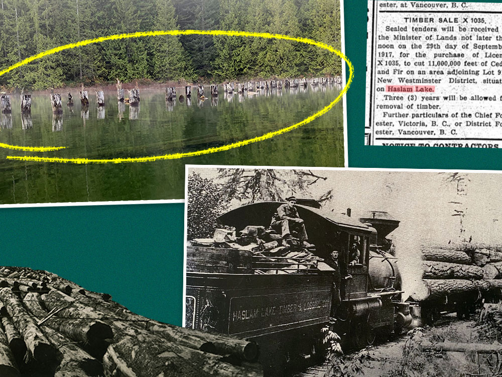 A collage including a photo of evenly spaced, cylindrical wooden poles jutting out of the clear, calm water in a foggy lake; a black and white cutout of logs in a log boom; a newspaper clipping selling a timber lot lease; and a black and white photo of an old timber railroad train.