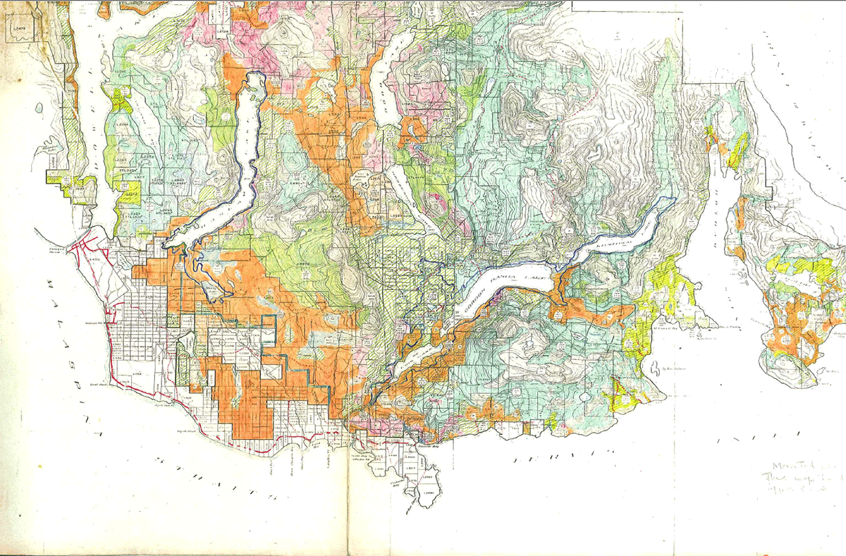 An old colour-coded map shows the results of a forestry survey. Much of the area’s easily accessible timber has been harvested or burned.