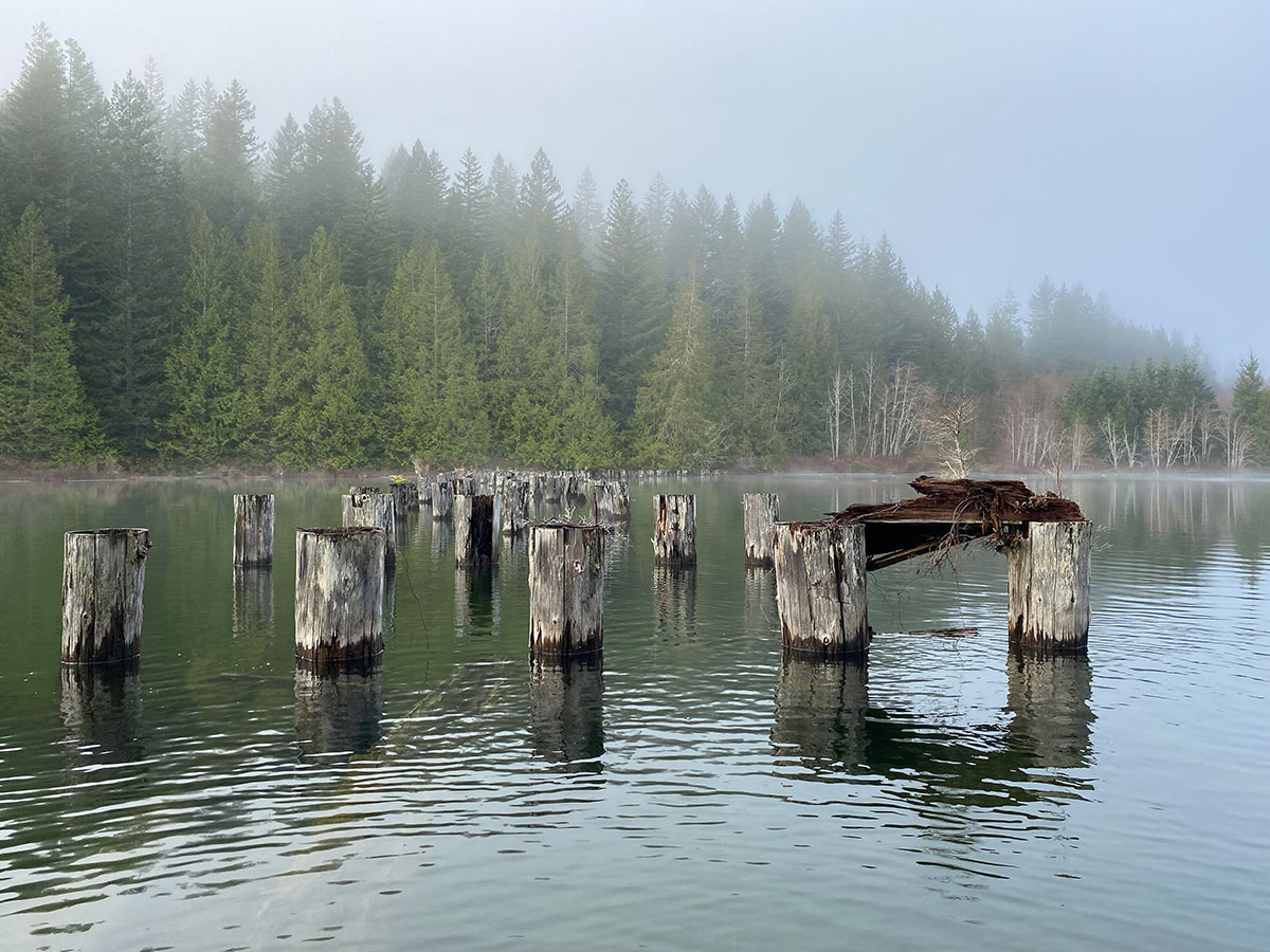 Dozens of evenly spaced cylindrical wooden poles jutting out of the clear, calm water in a foggy lake.