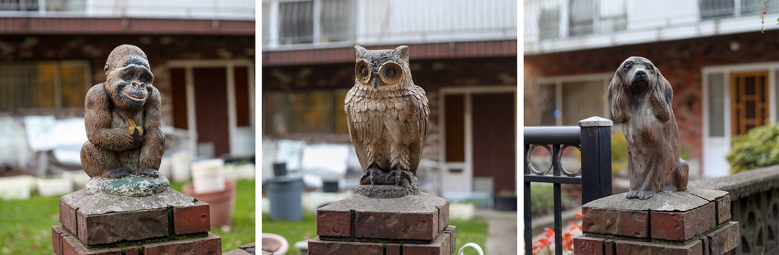 A three-panel images features small statues of, from left to right, a brown gorilla, a brown owl and a brown cocker spaniel atop a red brick post for a gate in front of a Vancouver Special home.