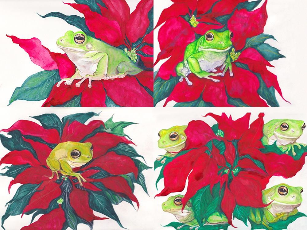 A four-panel image features watercolour illustrations of bright green frogs nestled in dark red and green poinsettia petals and leaves.