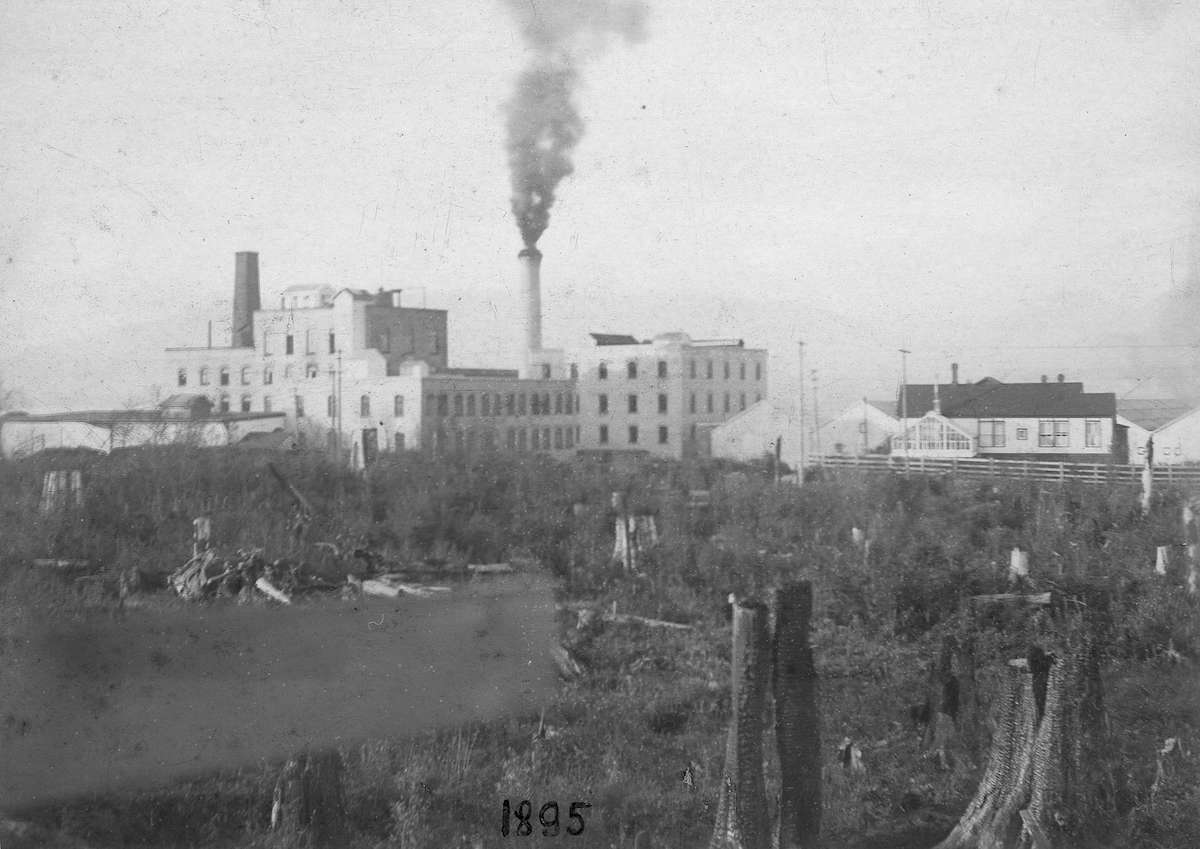 A black and white photo from 1895 shows the BC Sugar Refinery from the south, across a clearcut in what is currently downtown Vancouver. 