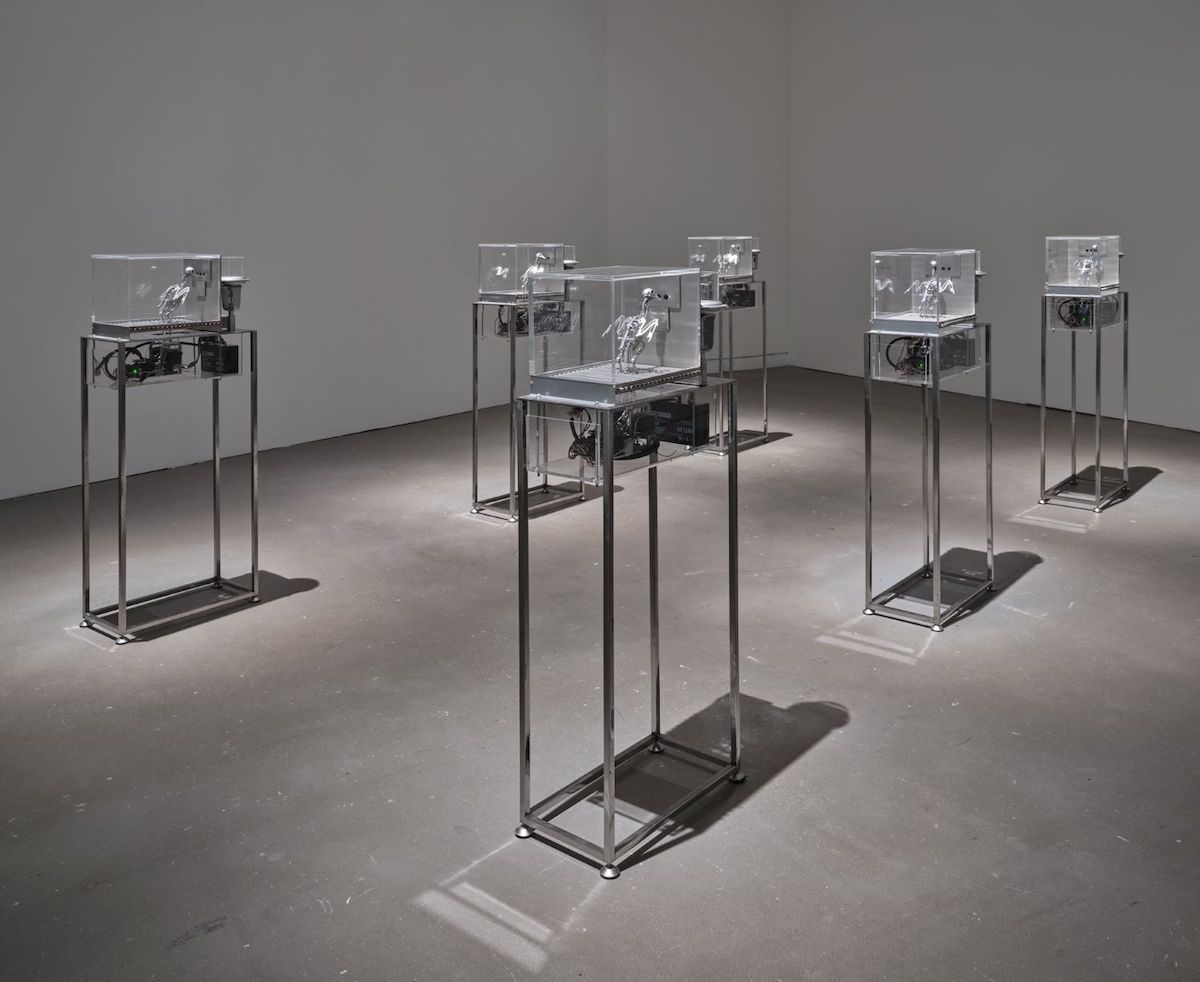 Rows of steel robotic birds in small glass cases stand on tall legs in an indoor gallery space with grey walls and grey flooring.