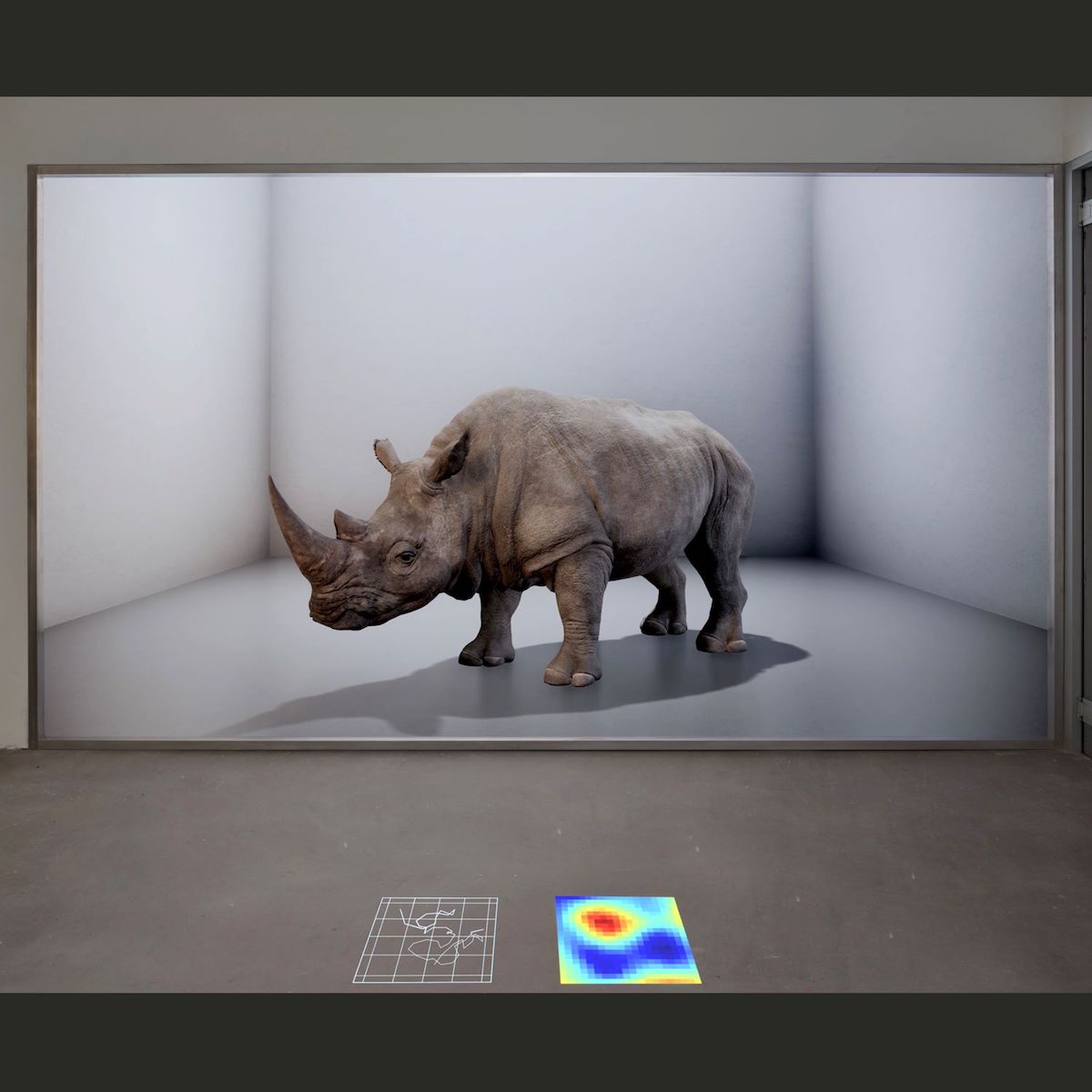 A digital projection of a rhinoceros in a grey indoor gallery space.