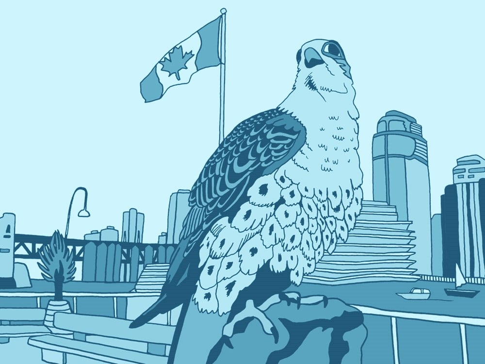 A black and white illustration, with a transparent blue overlay, shows a raptor alit on a leather glove on Granville Island. A Canada flag flies in the background.