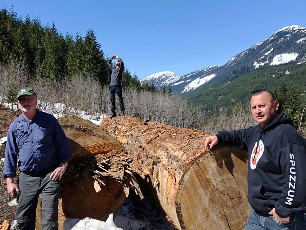 Three men stand amidst large, felled trees in a valley in the Spuzzum watershed. Behind them, evergreens and snow-capped mountains, with patches of logged areas.
