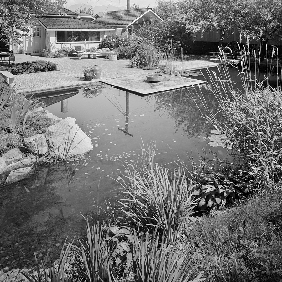 Black and white photo of a pond, edged with tall reeds, and a small house in the back.