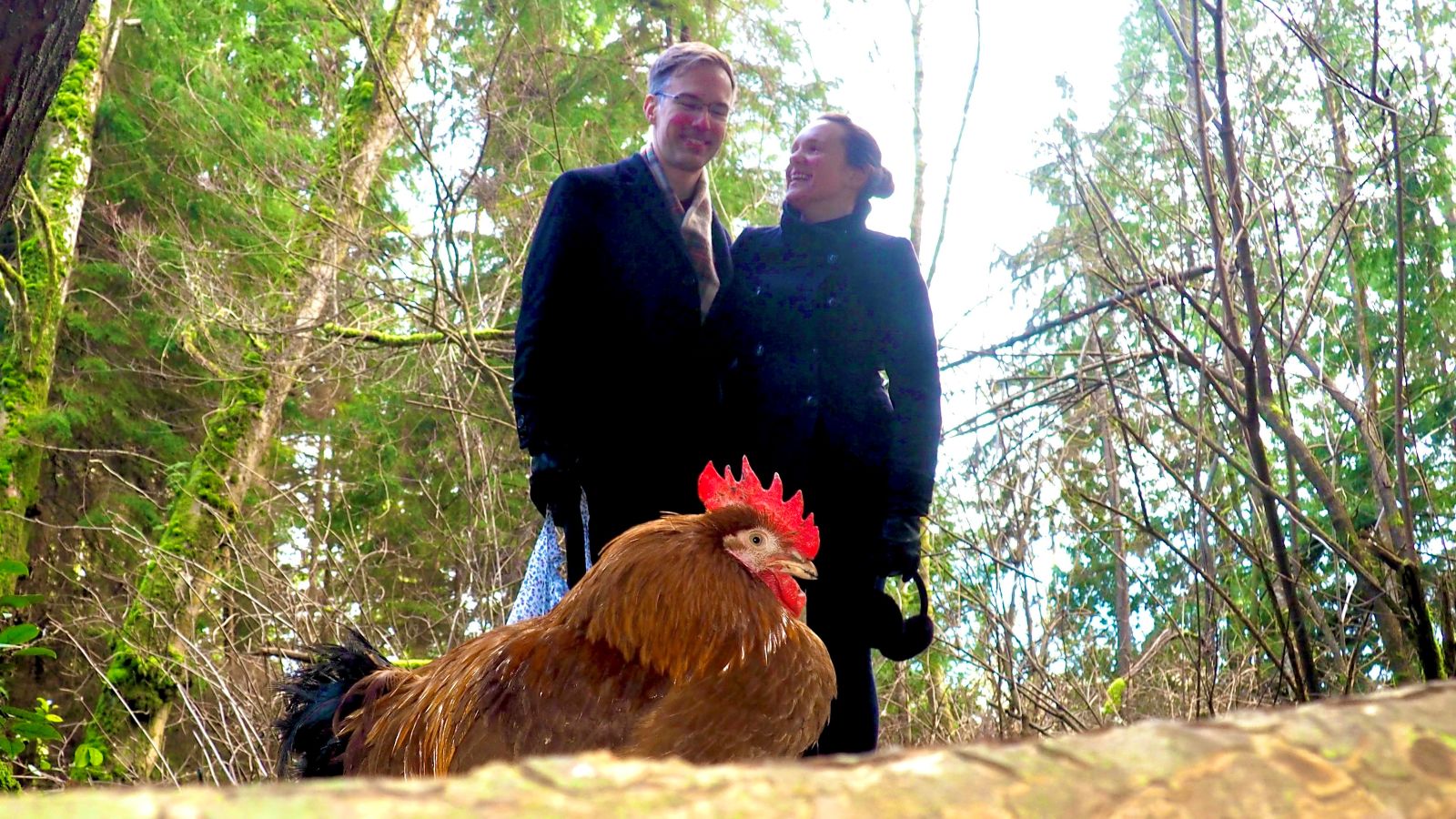 Karl and Olya Schmidt stand together in black pea coats against a bright sky. In the foreground is Roy the rooster. Karl has short brown hair, light skin and glasses. He’s smiling. Olya is laughing, looking towards him. Her light brown hair is pulled back and she is holding a pair of earmuffs.