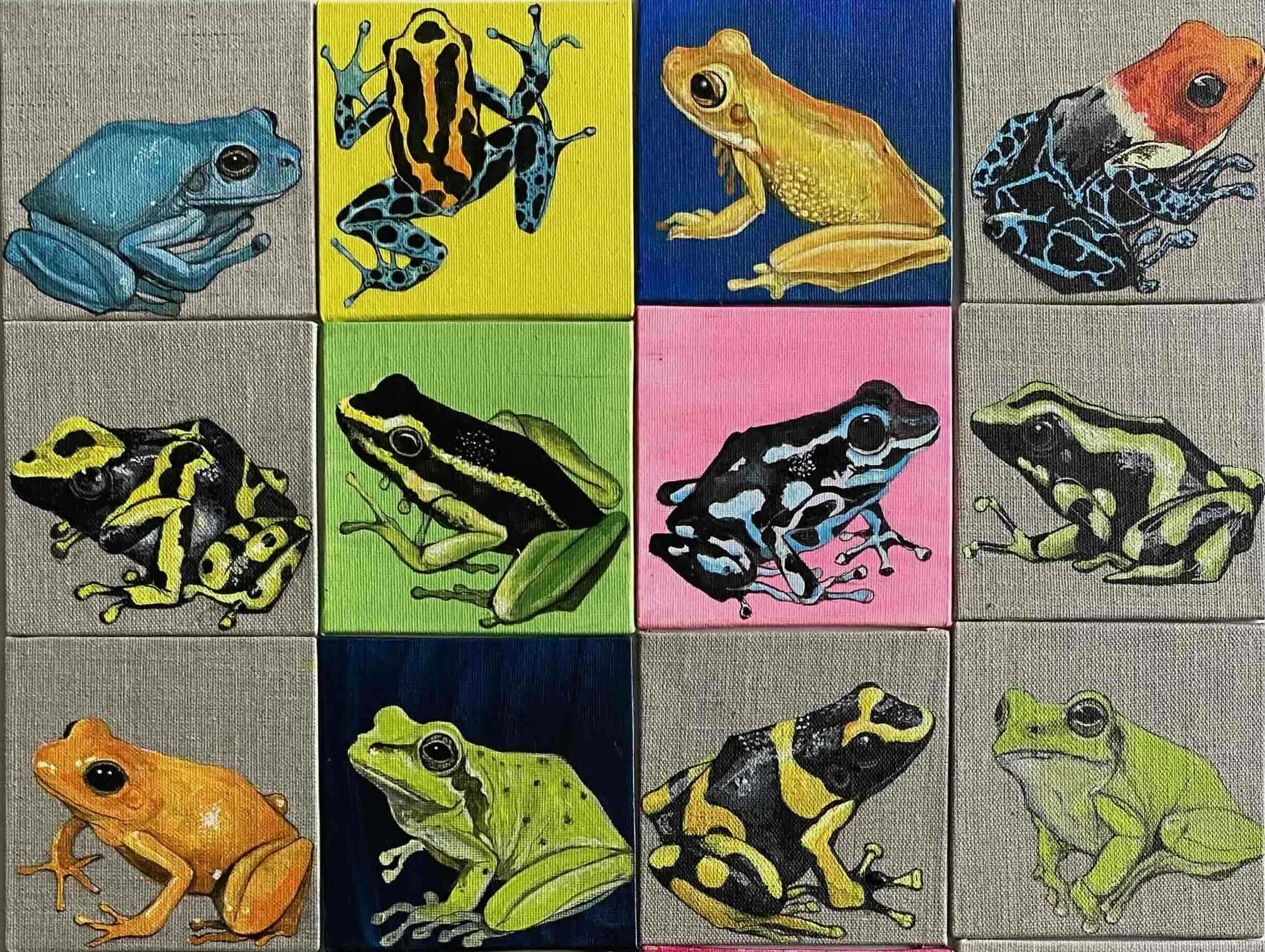 Several small square colourful paintings of frogs are assembled in a grid formation on taupe canvases.