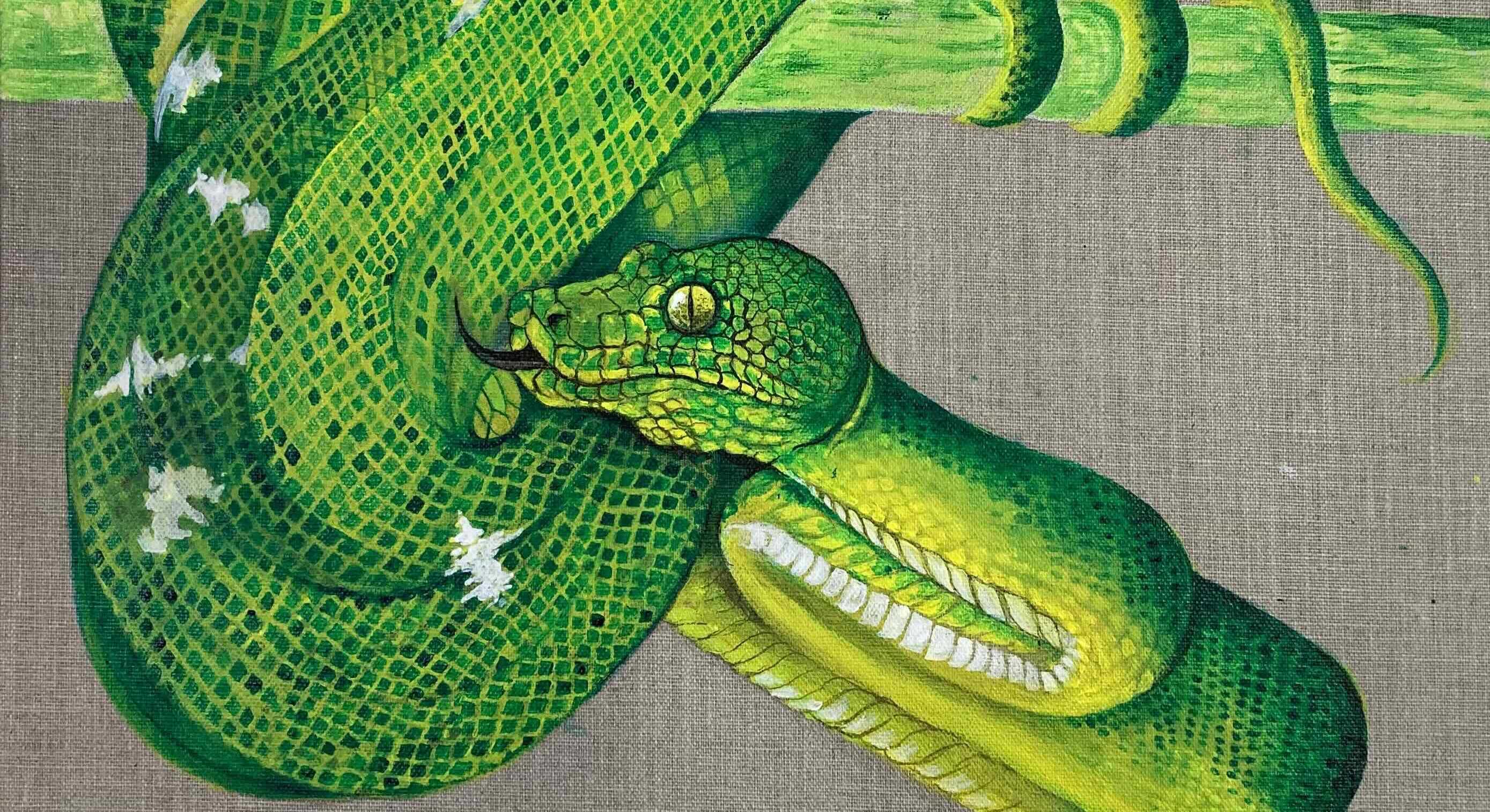 A painting of a green snake depicts the animal wound around a horizontal green branch against a taupe canvas.