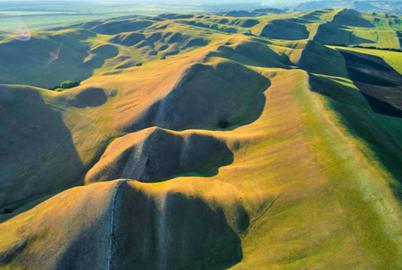 The Origins of Language, and How It Shaped Our World