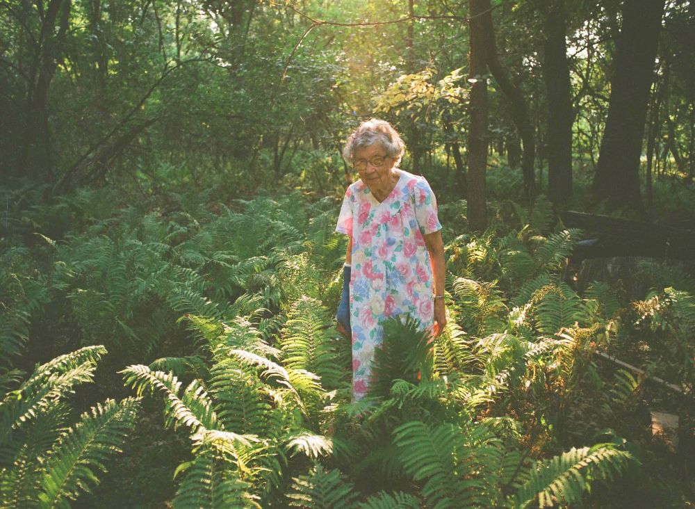 Agatha Bock stands in a wooded glen among lush green ferns and trees. She has short grey curly hair, glasses and is wearing a white floral dress. A blue cast is on her lower right arm.