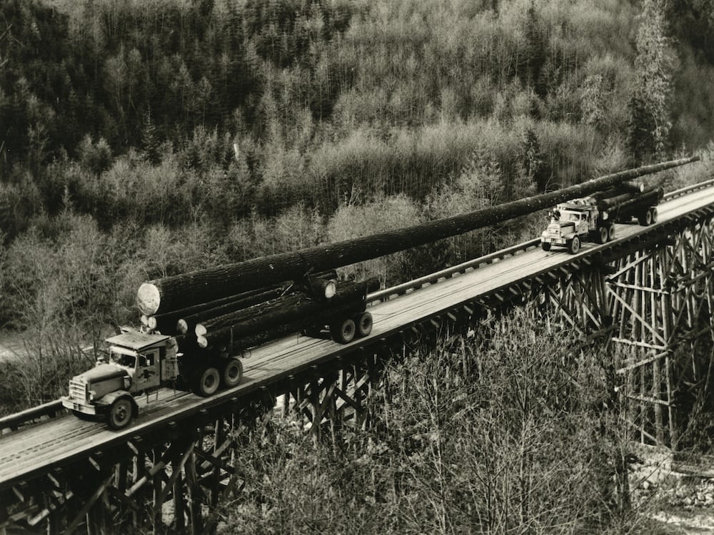 Two logging trucks carry a single, massive log across a road trestle.