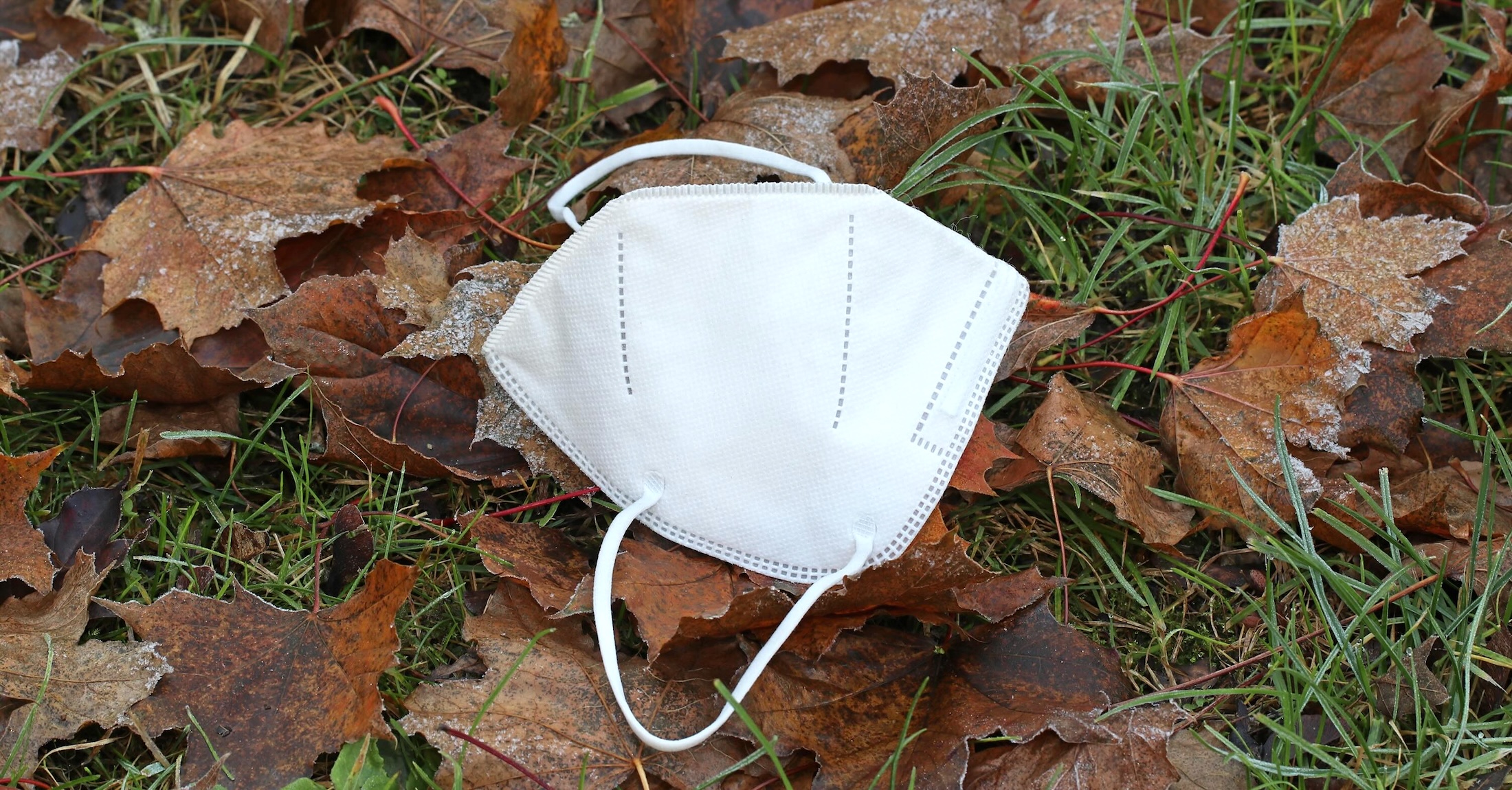 A white N95 mask lies face up on a bed of dry brown maple leaves on green grass.