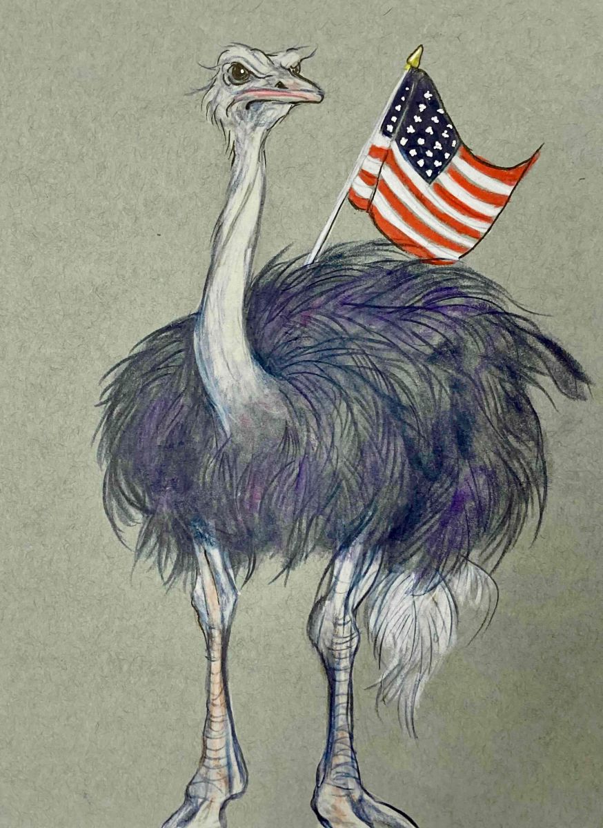 An illustration of an ostrich with purple plumage and an American flag tucked in its feathers stands against a grey background of textured paper.