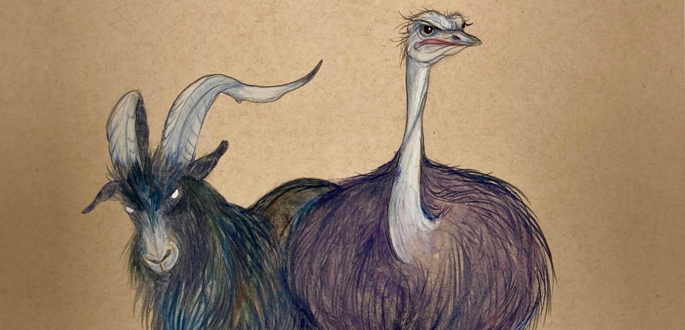 A watercolour illustration of a dark blue goat, left, with white eyes, next to an ostrich with purple plumage on light brown textured paper.