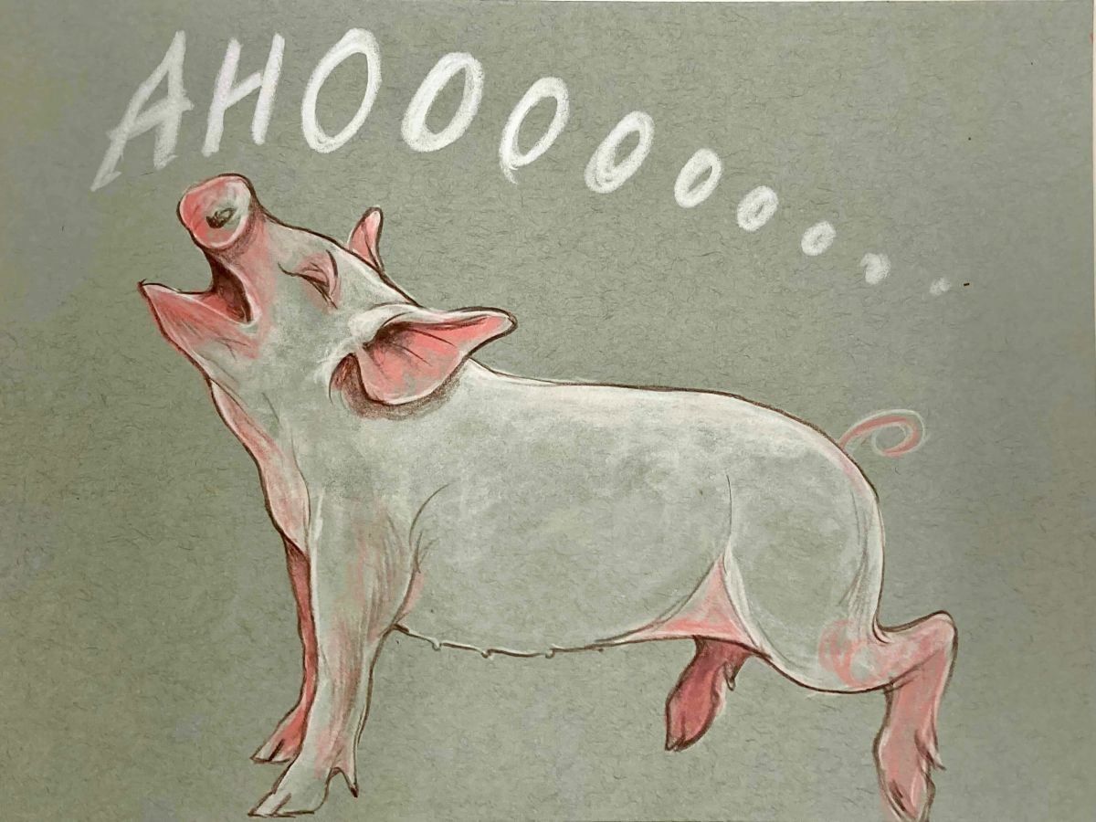 A watercolour illustration of a light pink pig on grey paper stands howling under white handwriting that says &ldquo;Ahoooo.&rdquo;