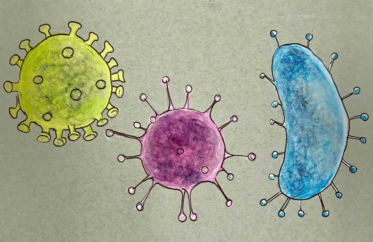 Three illustrated viruses stand next to each other in light green, purple and blue (from left to right) against grey textured paper.