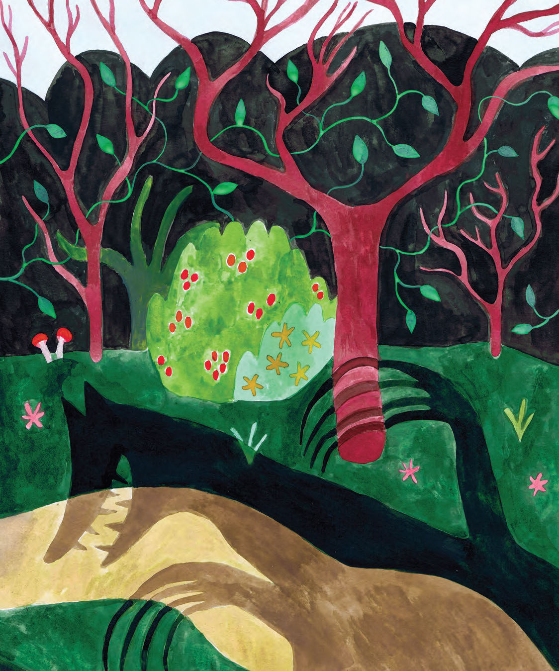 An illustration of a wolf&rsquo;s shadow against a pathway surrounded by grass in a forest.