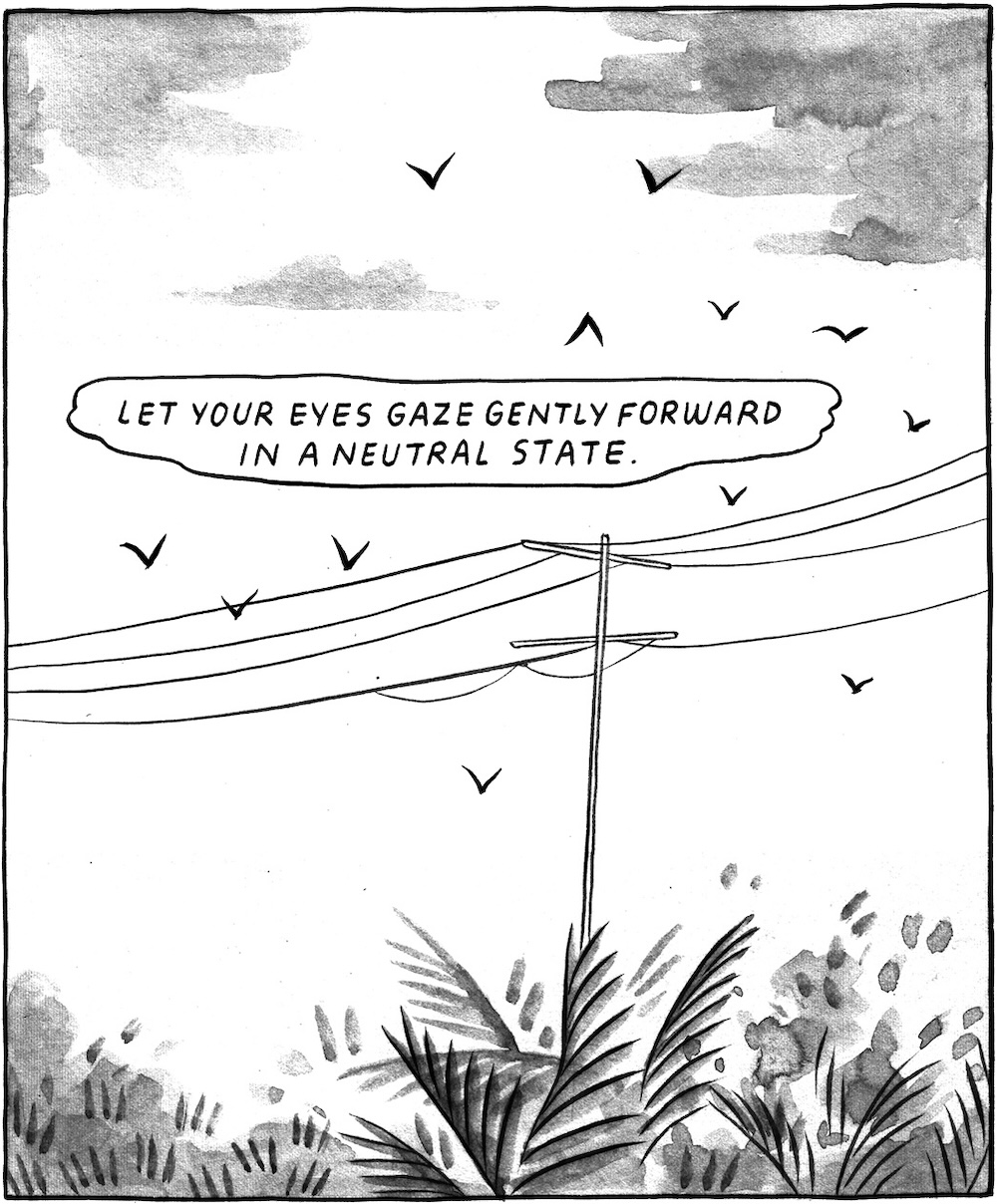 A one-panel image from a graphic novel depicts an urban sky with birds flying across electrical lines. A dialogue box reads &lsquo;Let your eyes gaze gently forward in a neutral state.&rsquo;