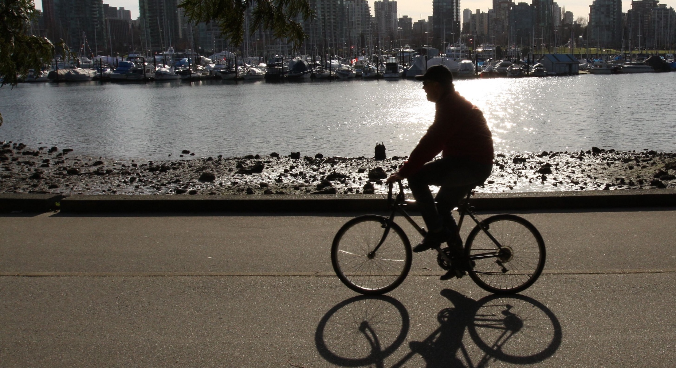 A cyclist on Vancouver&rsquo;s seawall on a sunny day, with water and city skyline in the background.