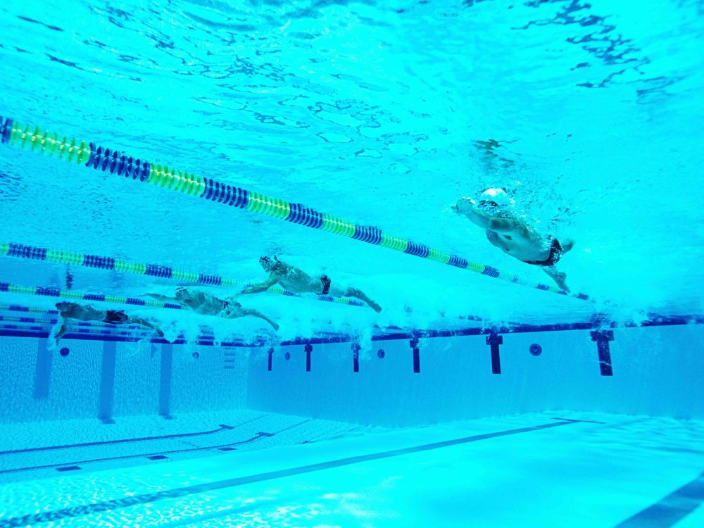 My Year of Magical Swimming