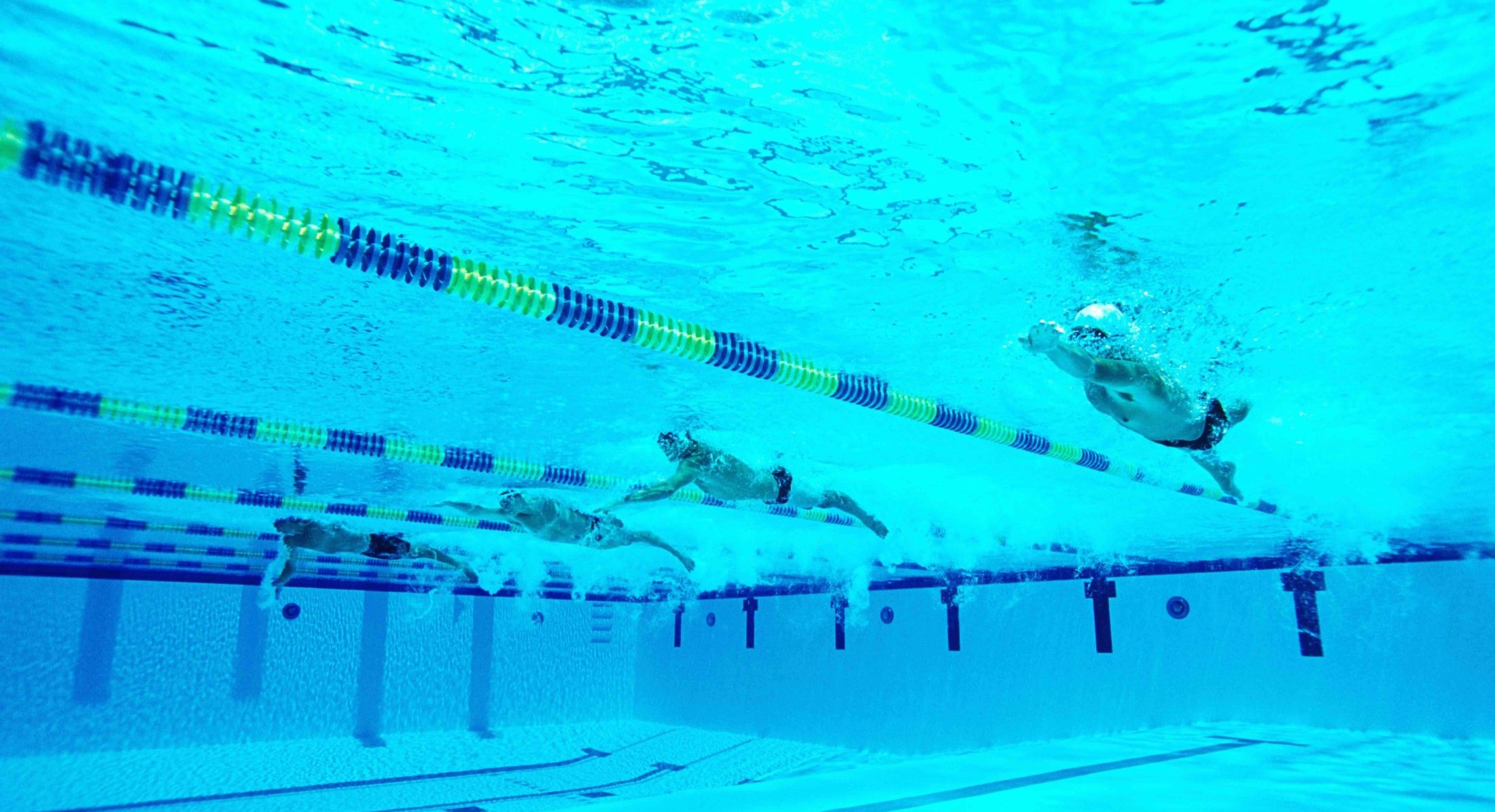 An underwater photograph features four swimmers paddling freestyle in a pool with lanes separated by blue and yellow ropes.