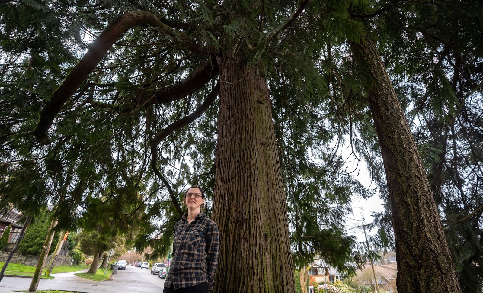 A woman with light skin wearing glasses and a plaid shirt stand beneath a large cedar in a residential neighbourhood.