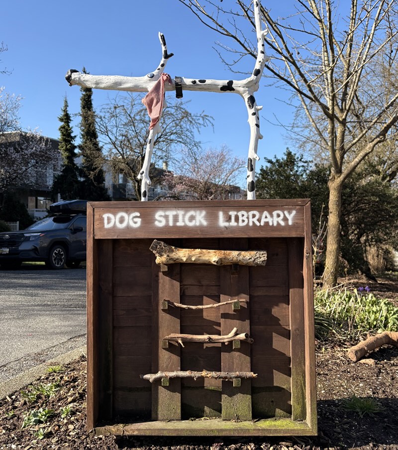 A photo shows a dog stick library.