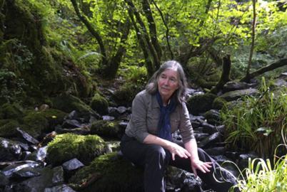 The Botanist Who Isn’t Afraid to Call Trees Sacred