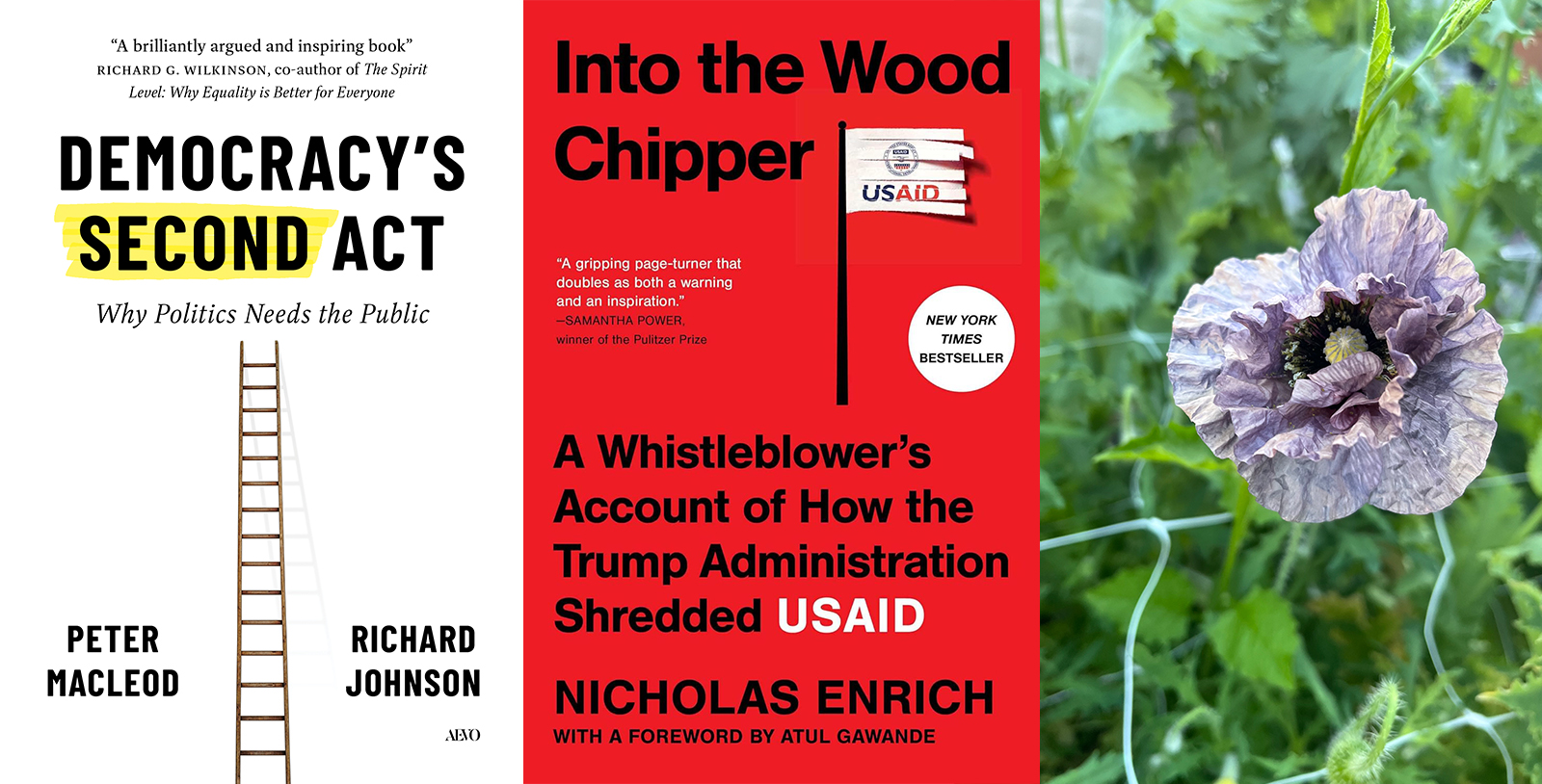 851px version of SummerReads2026_EMBED11.jpg