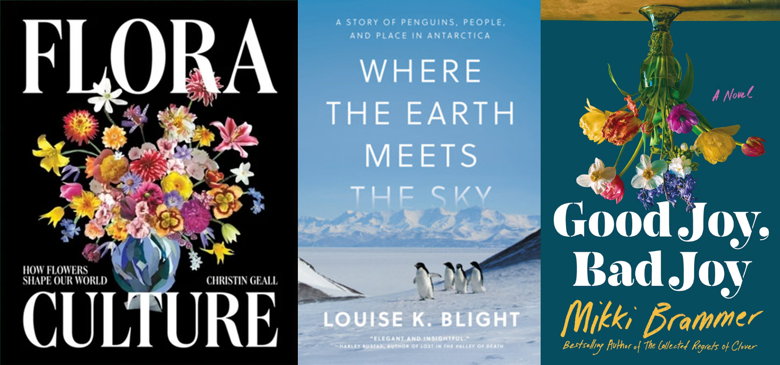 851px version of SummerReads2026_EMBED3.jpg