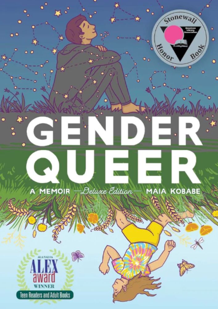 The book cover image for &ldquo;Gender Queer&rdquo; features, at top, a cartoon illustration of a person with short brown hair sitting in the grass looking up at the stars, smiling. At bottom, at inverse image of a younger version of the same person runs through the grass on a summer day. They have long brown hair, a tie-dyed T-shirt and yellow shirts.