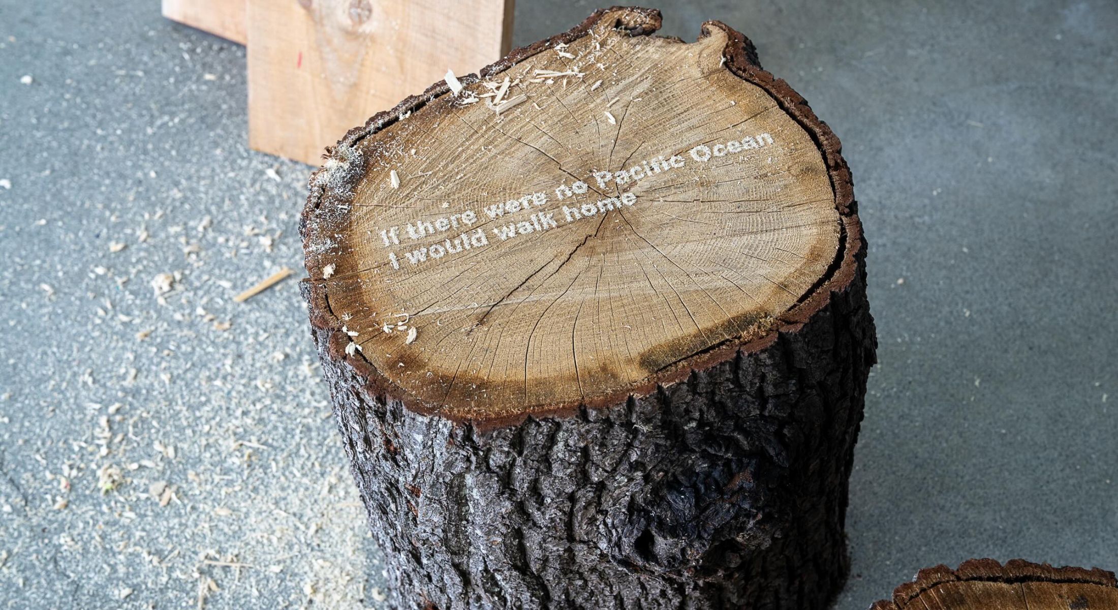 A photo of a freshly cut tree stump in an indoor gallery space against a grey floor on which there are wood shavings. A message in wood shavings on the stump reads, &ldquo;If there were no Pacific Ocean I would walk home.&rdquo; 