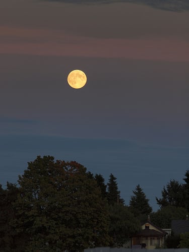 East Vancouver harvest moon